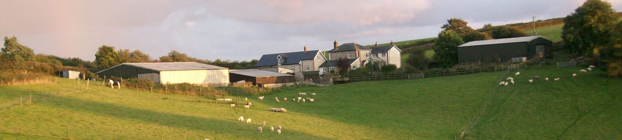 Rampisham Hill Farm